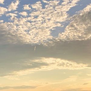 Meet your Posher, Sophia